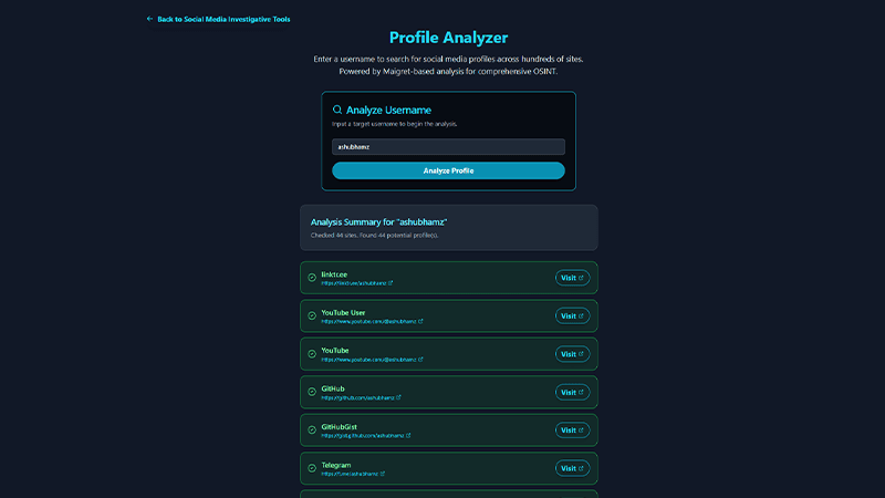 DeepFind.Me Profile Analyzer UI